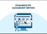 Ecommerce PPC Services