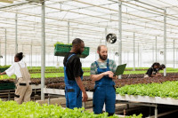 Find Best Nursery Business Software & Greenhouse ERP Here