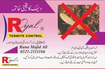Termite control,,Deemak control,Dengue spary,Fumgation,Pest control