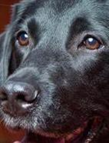 Don&#039;t let your hard-earned money go to waste.