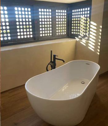 بلومبي مجتهد