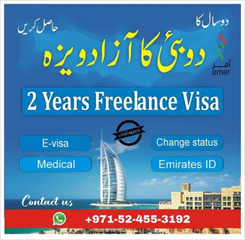 We provide freelance visa