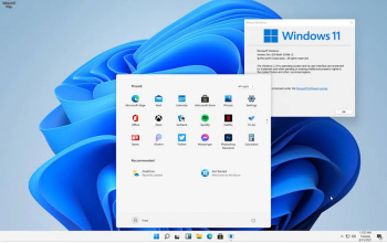 مبرمج _Programmer