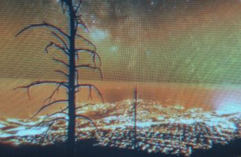 زارعة أشجار خدامة حدائق