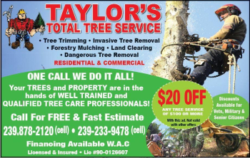 STUMP OR TREE REMOVAL, LAND CLEARING, FREE ESTIMATES
