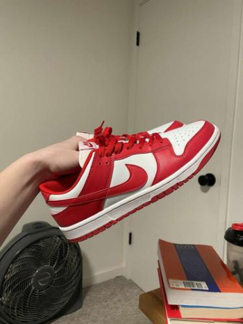Nike Dunk Low University Red size 11 men's sneaker. Casual Basketball Shoe in Logan, Utah