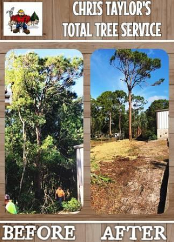 FINANCING, FREE ESTIMATE, LAND CLEARING, FULL SERVICE TREE COMPANY