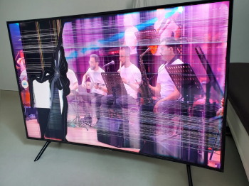 Samsung 55" Curve Smart with broken screen