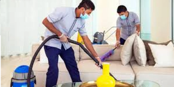 شركة ال ياسر لخدمات التنظيف الشامل ومكافحة الحشرات ناليسؤرىا