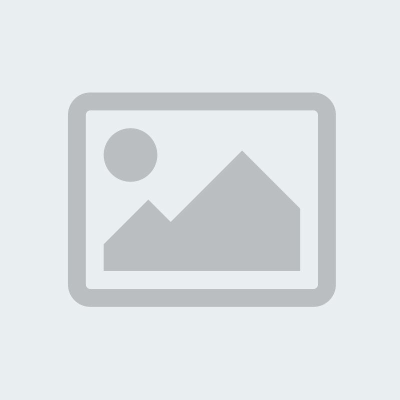 2019 AQHA Palomino Mare (Quarter Horse)